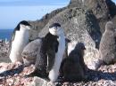 antarctica 286 * 2272 x 1704 * (1.26MB)